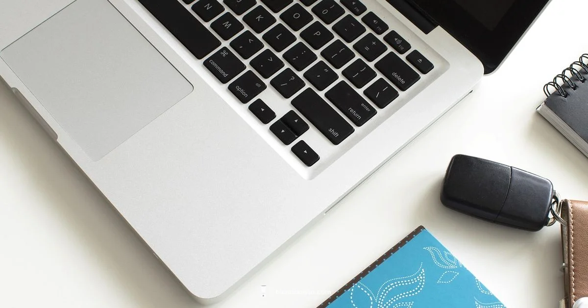 Blender on Mac - BlendHowTo