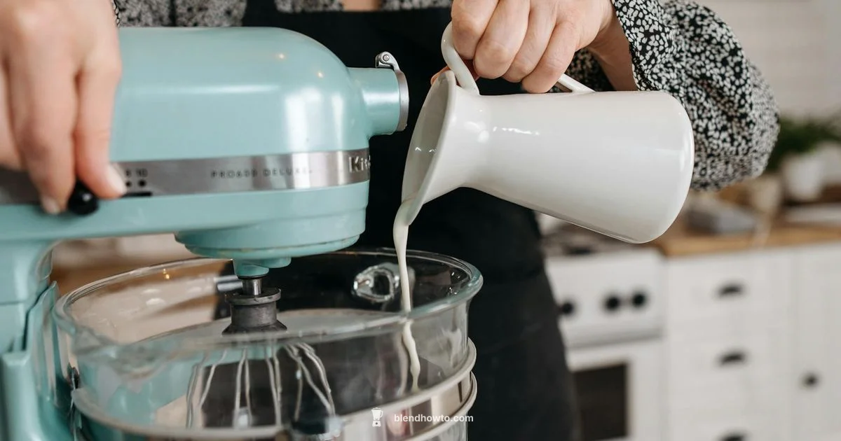 Variable Speed Blender - BlendHowTo