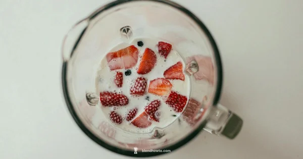 Good Blender Guide - BlendHowTo