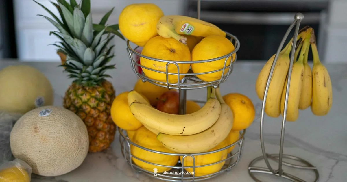 New Blender Guide - BlendHowTo