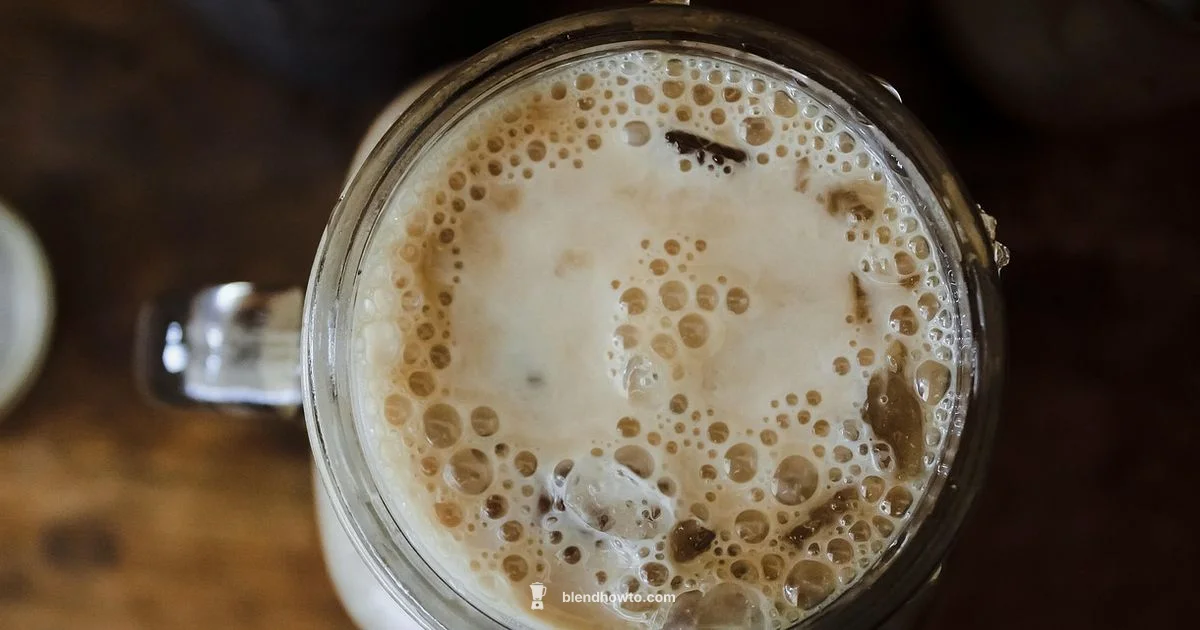 Iced Coffee Blender - BlendHowTo