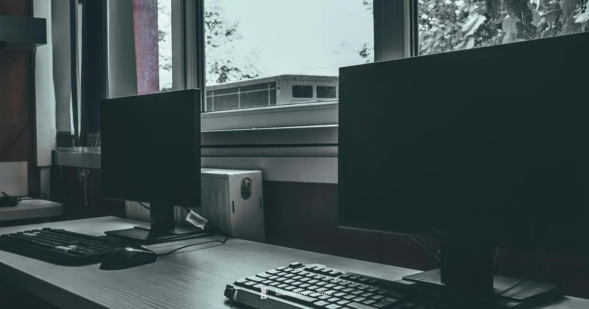 Learn Blender Path - BlendHowTo