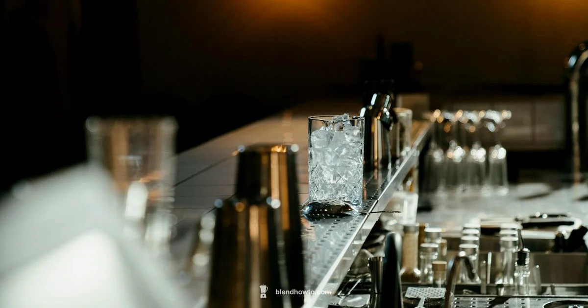 Ice On The Go - BlendHowTo