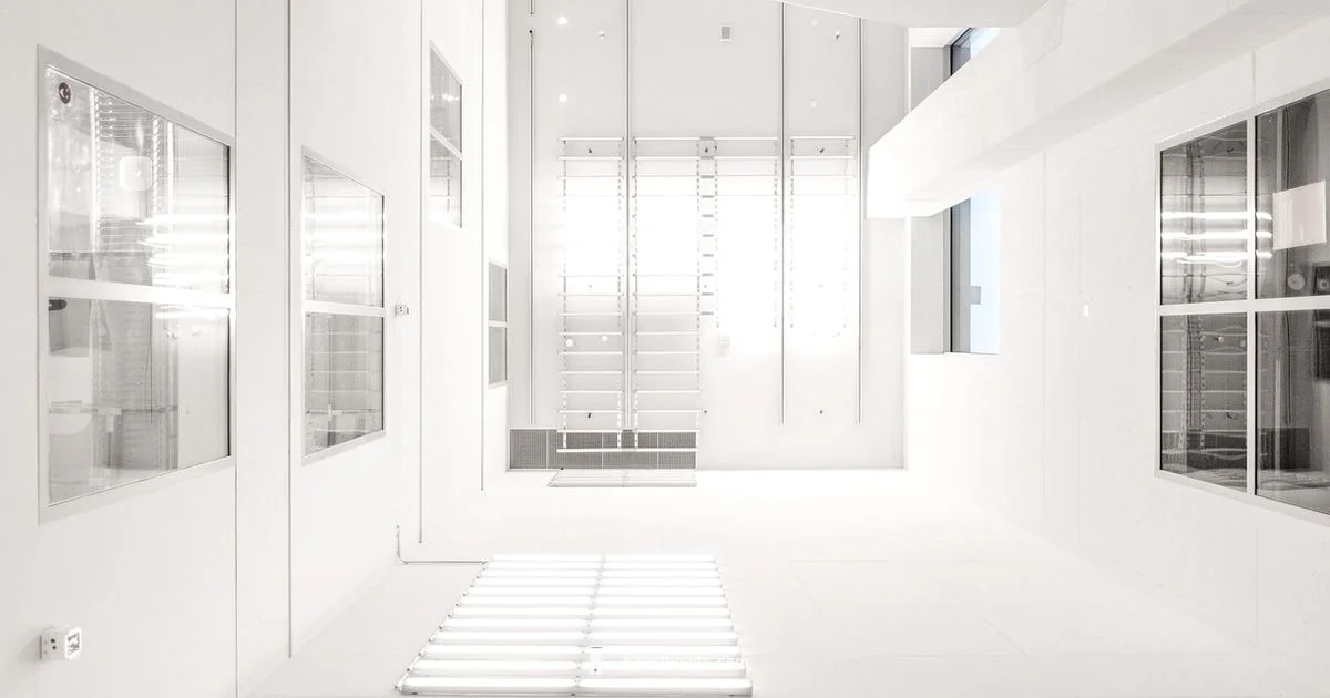 Ninja White Blender Review - BlendHowTo