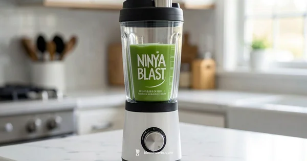 Ninja Blast On The Go - BlendHowTo