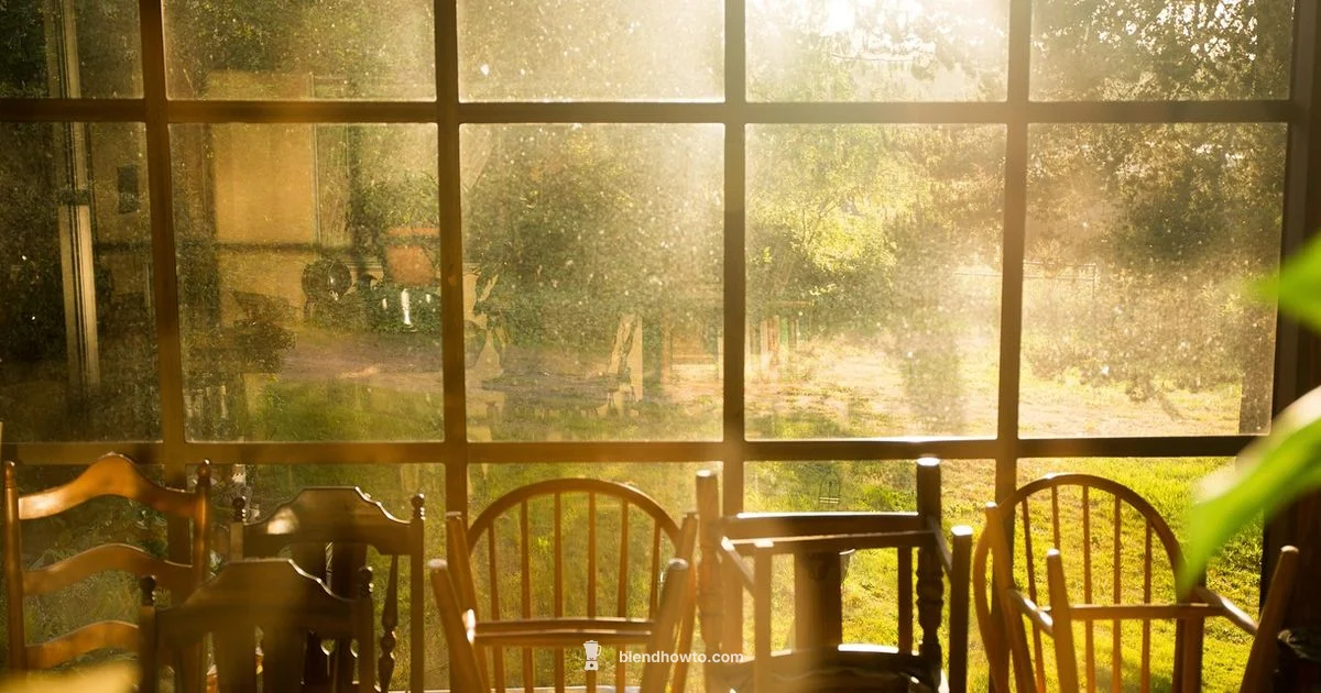 Beast Blender Care Beast Blender Care - BlendHowTo