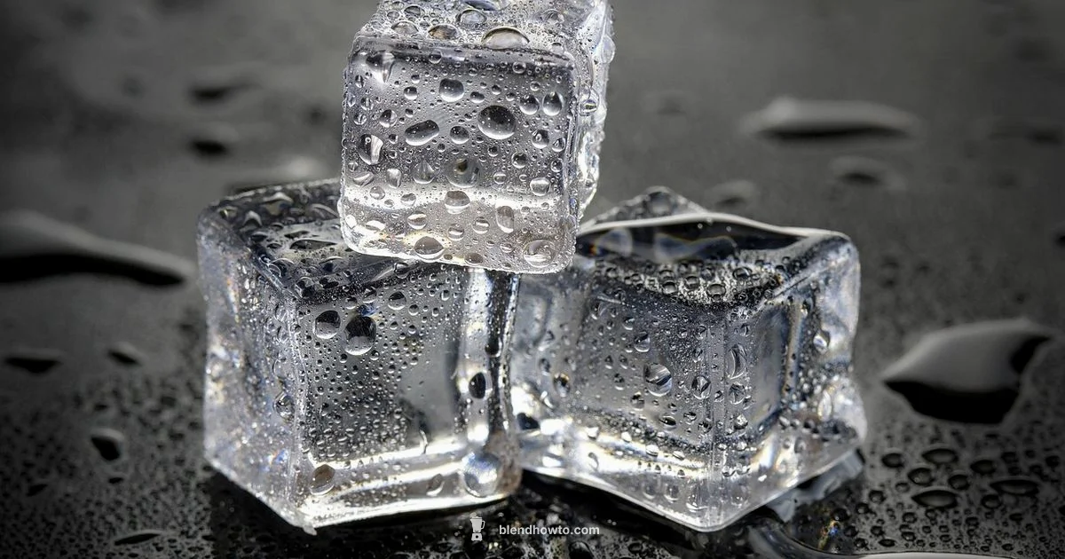 Ice & Blender Guide - BlendHowTo