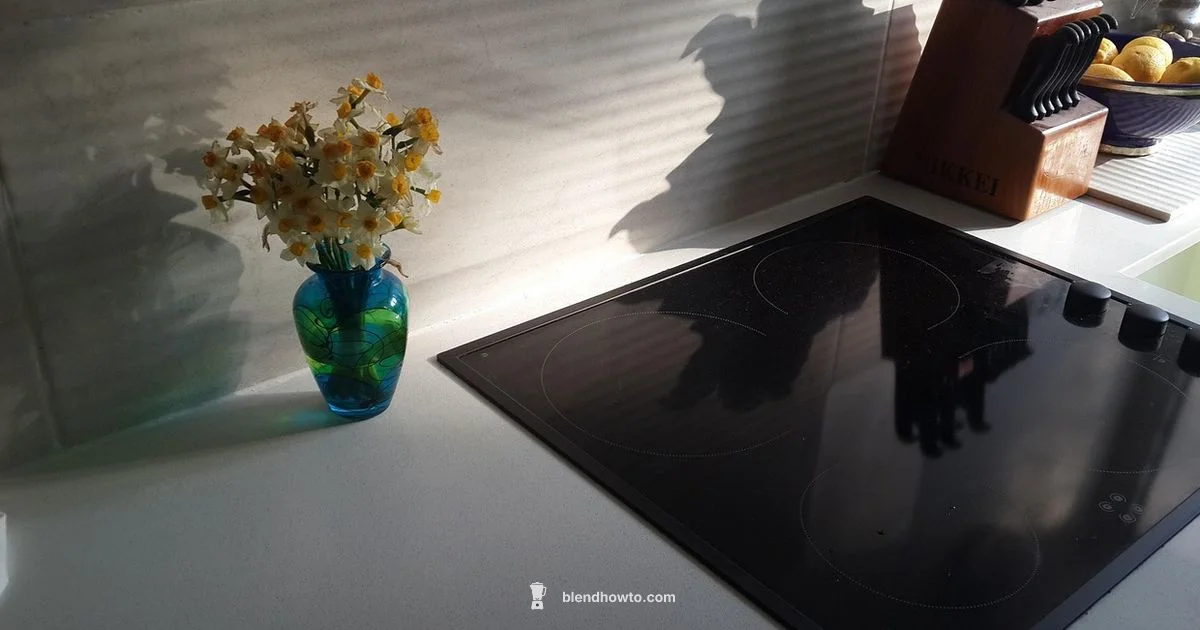 Fix a Blender Fast - BlendHowTo