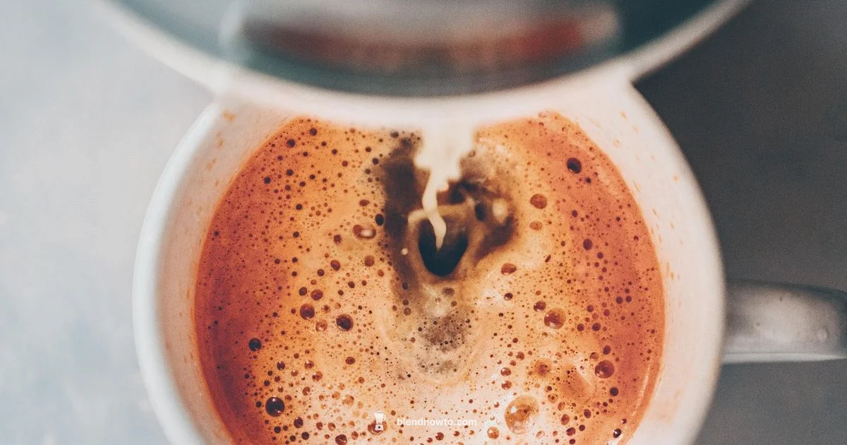 Ninja versus Juicer - BlendHowTo