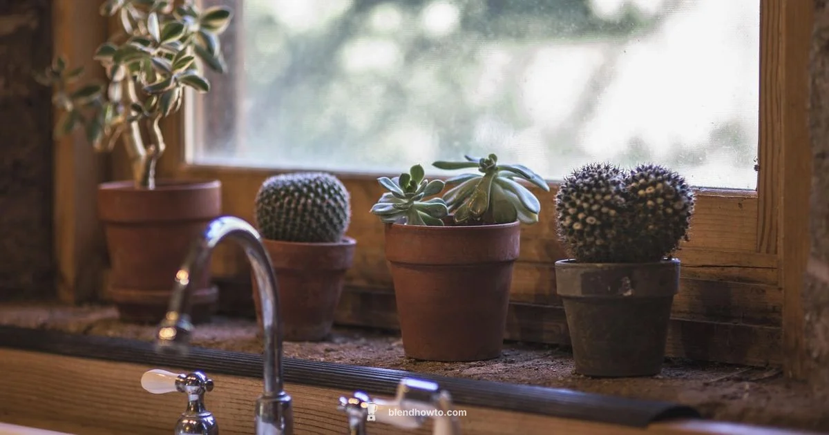 Vitamix Ice Cream Guide Vitamix Ice Cream Guide - BlendHowTo