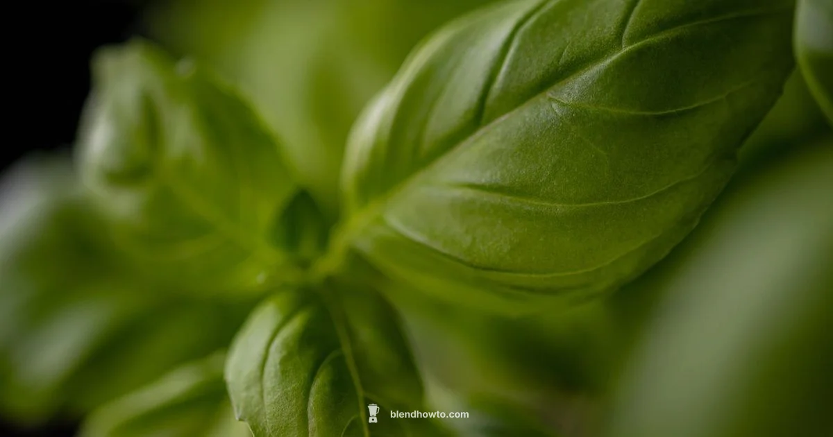 Pesto Blender Guide - BlendHowTo