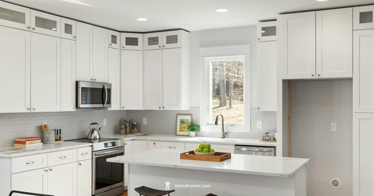 White Blender Guide - BlendHowTo