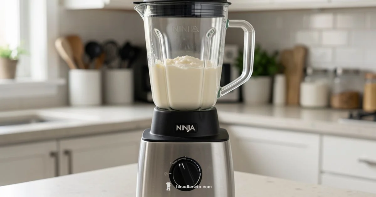 Deluxe Ninja Blender - BlendHowTo