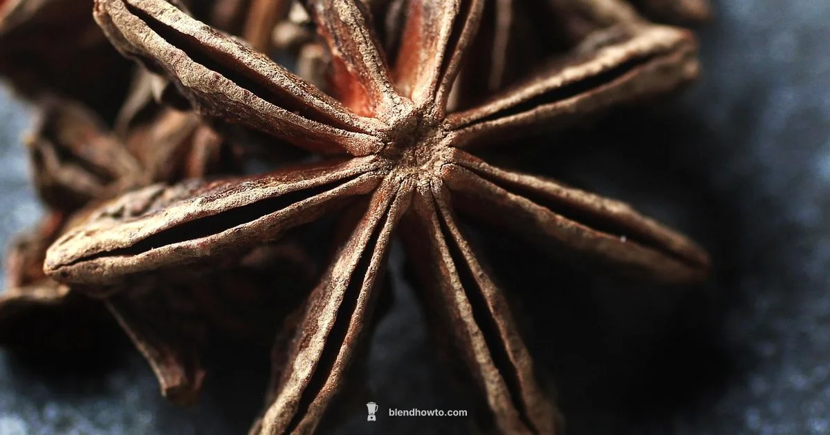 Sauce Blender Essentials - BlendHowTo