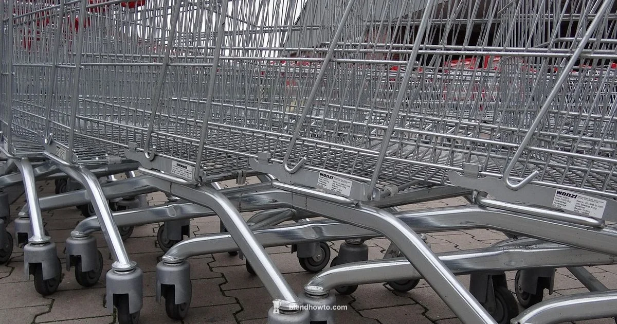 Find the Right Blender - BlendHowTo