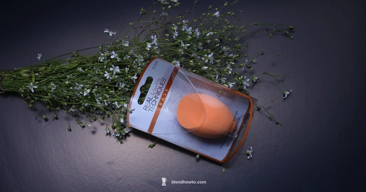 Clean Beauty Blender Clean Beauty Blender - BlendHowTo