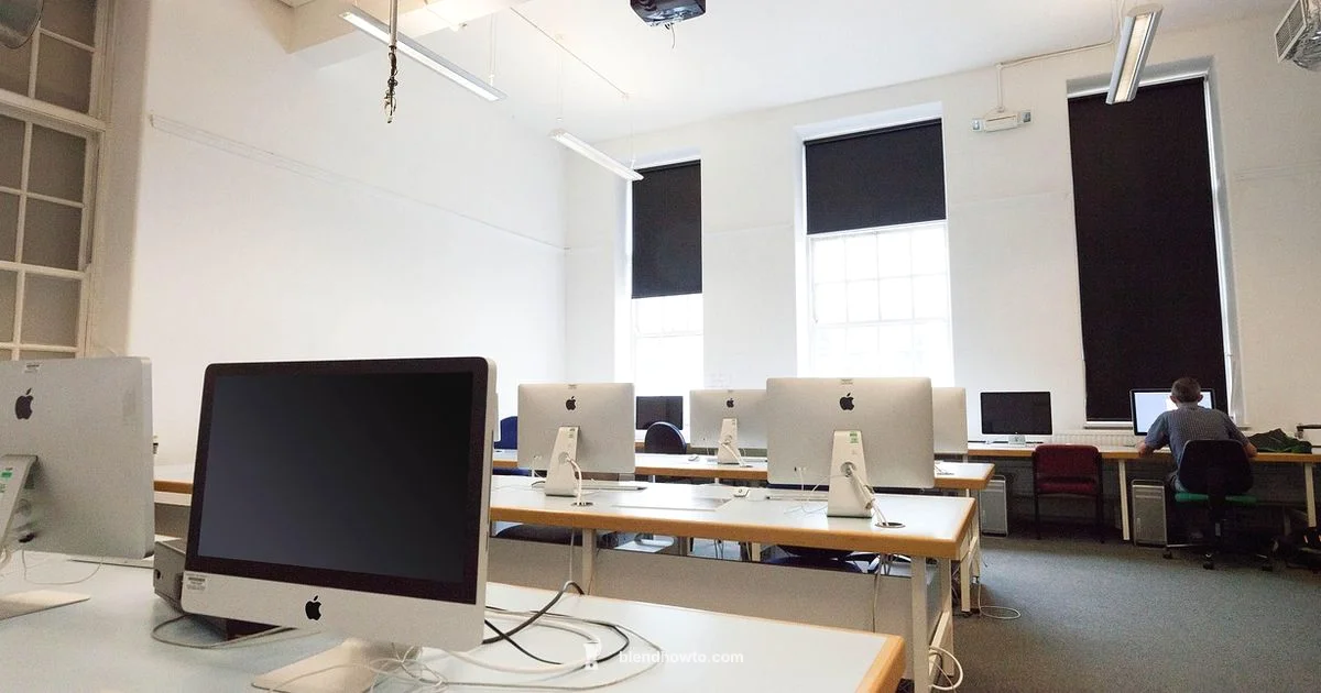 Blender Career Path - BlendHowTo