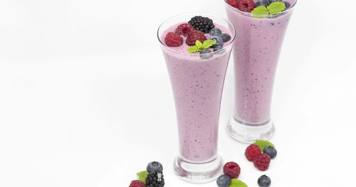 Blender Invention History - BlendHowTo