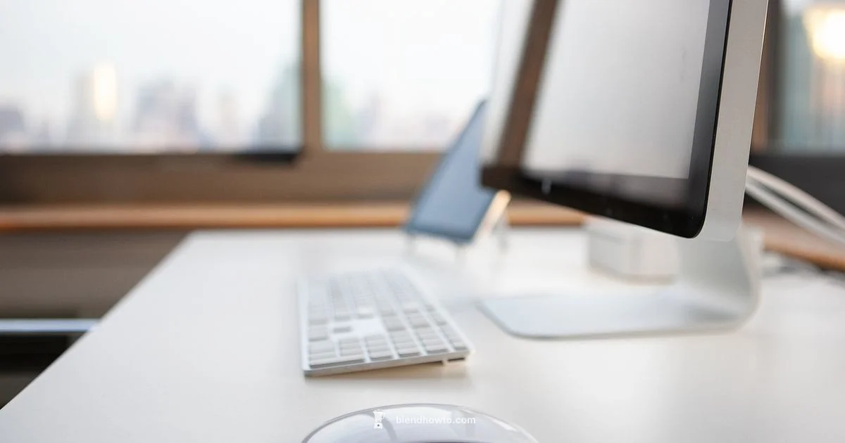 Mouse Setup in Blender - BlendHowTo