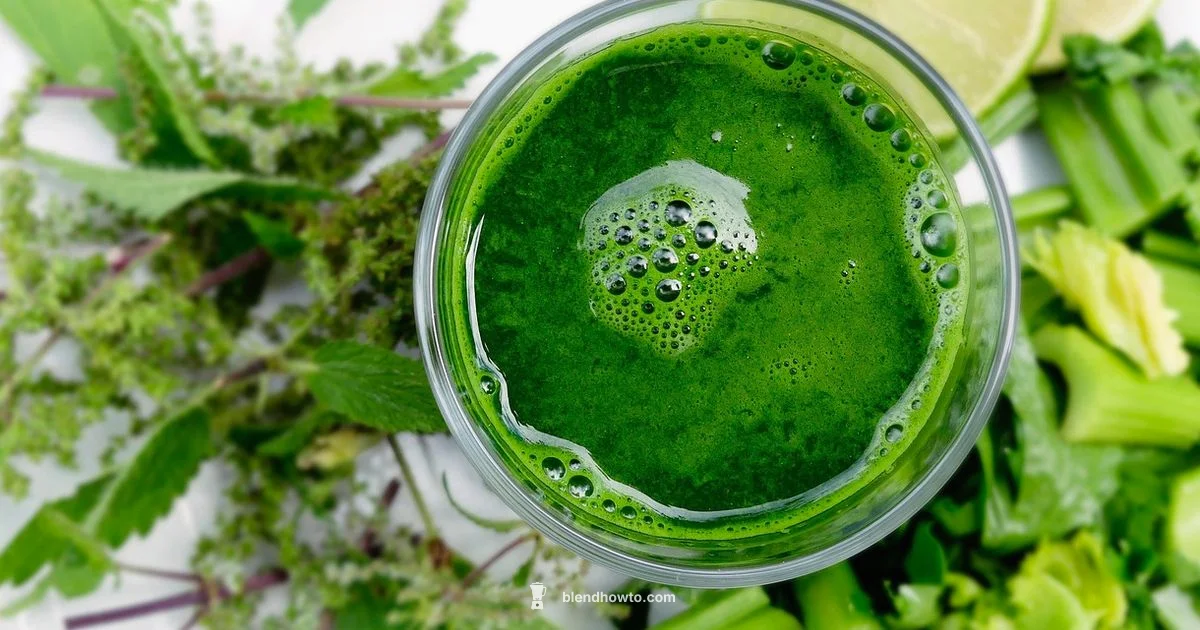 Fiber in Blends - BlendHowTo