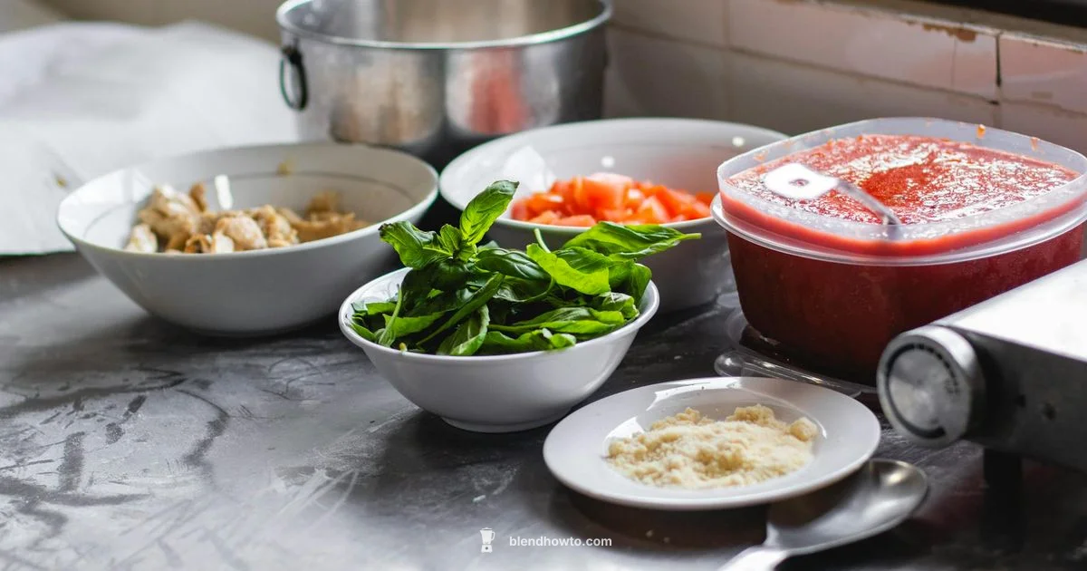 Full Size Blender Guide - BlendHowTo