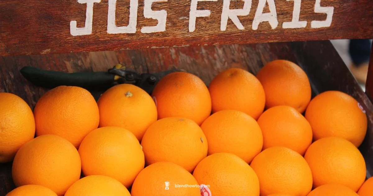 Fresh Juice Blender Fresh Juice Blender - BlendHowTo