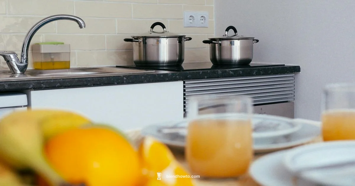 Oster Blender Review - BlendHowTo