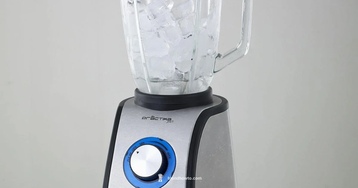 Top Vitamix Picks - BlendHowTo