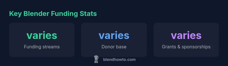 Infographic showing Blender funding streams and their variability