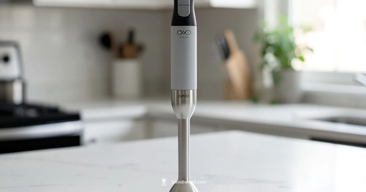 OXO Immersion Guide - BlendHowTo