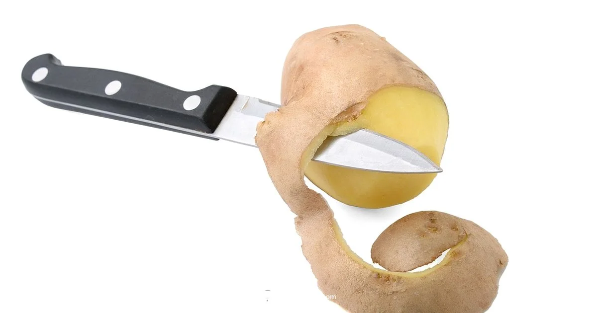 Immersion vs Hand Blender Immersion vs Hand Blender - BlendHowTo