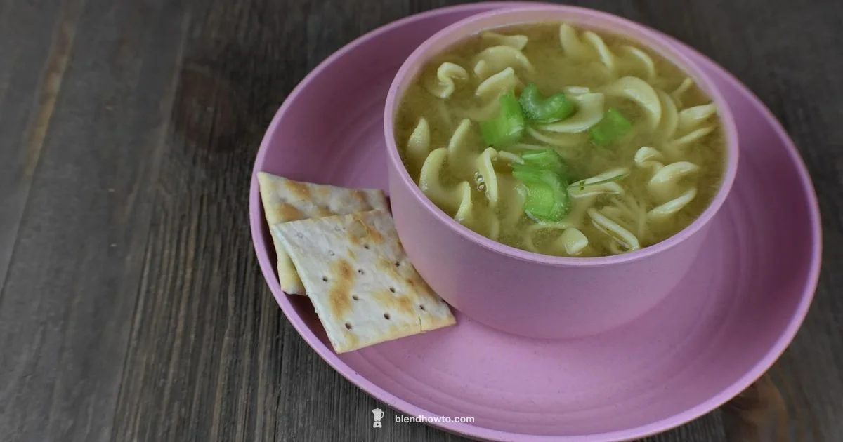 Soup Blender Essentials - BlendHowTo