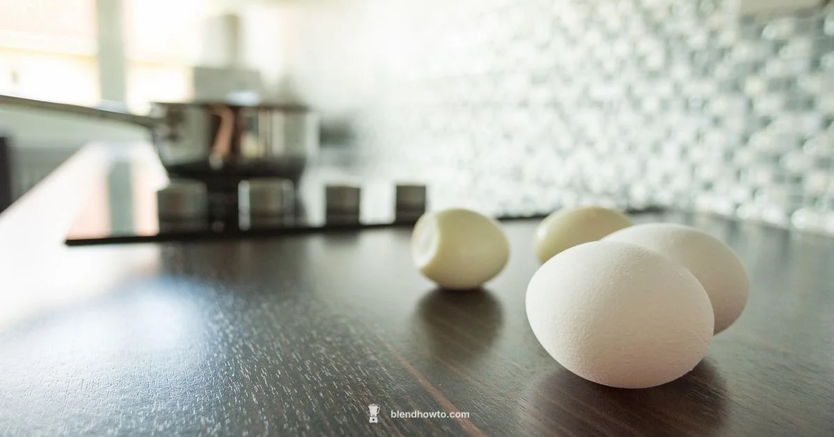 Protein Blender Essentials - BlendHowTo