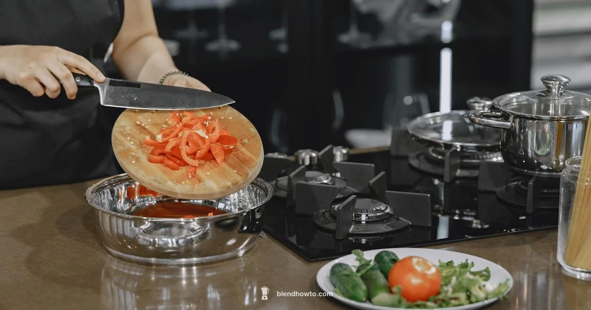 Blender Basics Guide Blender Basics Guide - BlendHowTo