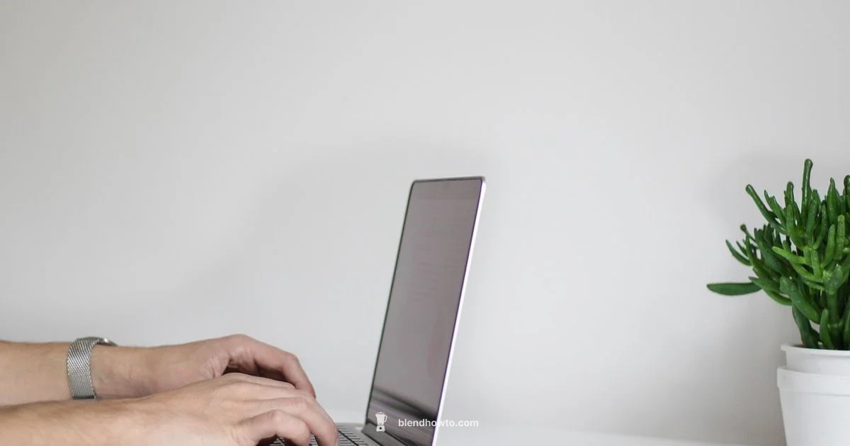 Beginner Blender 3D Guide - BlendHowTo