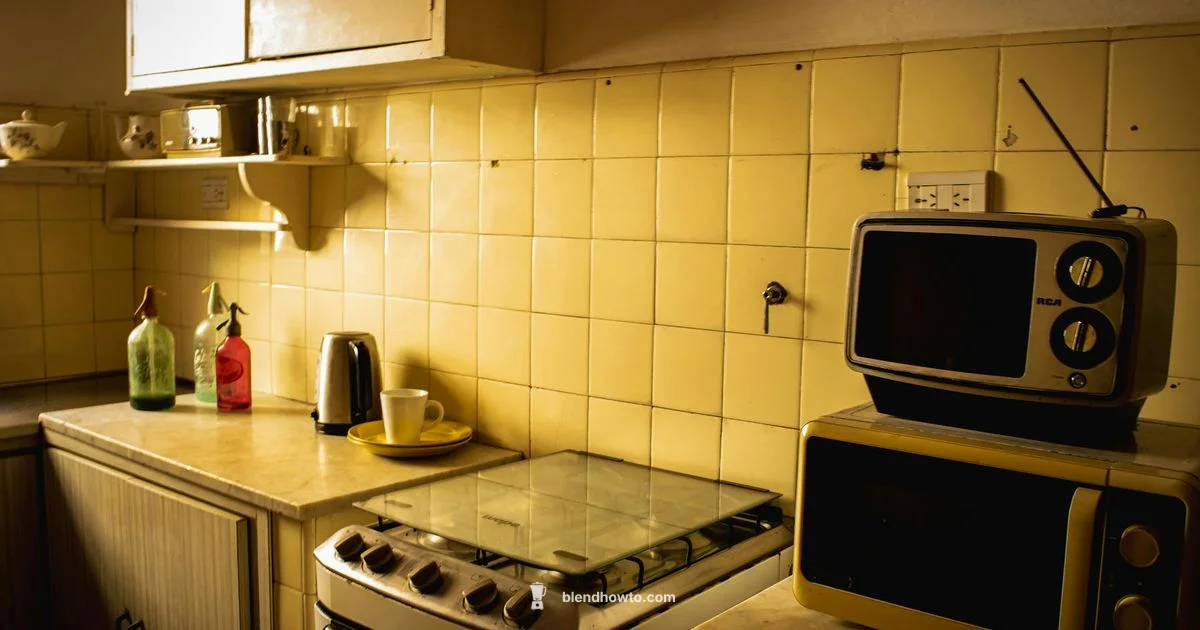 Osterizer 10 Speed - BlendHowTo