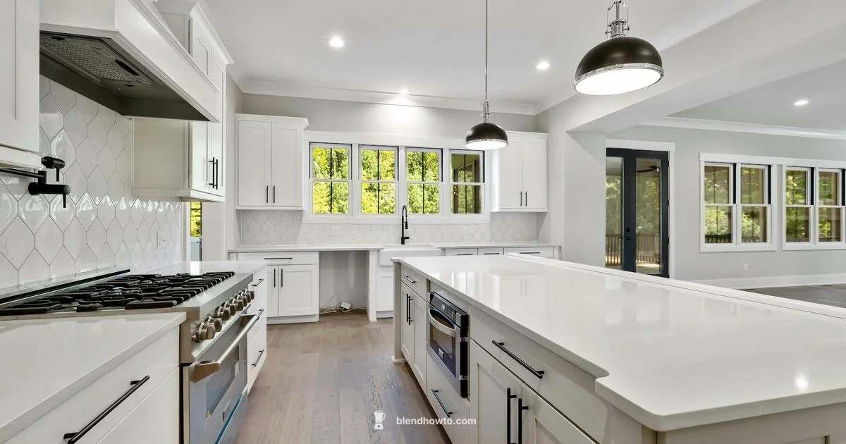 Vitamix Blender Guide - BlendHowTo