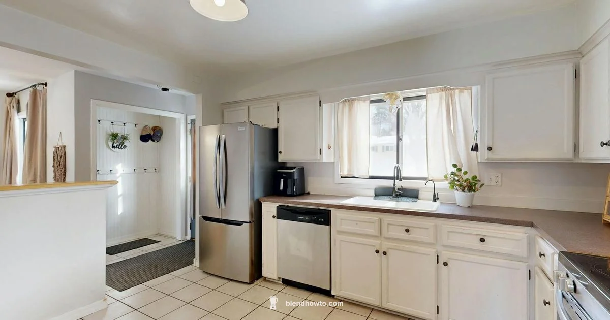 Oster Immersion Blender - BlendHowTo