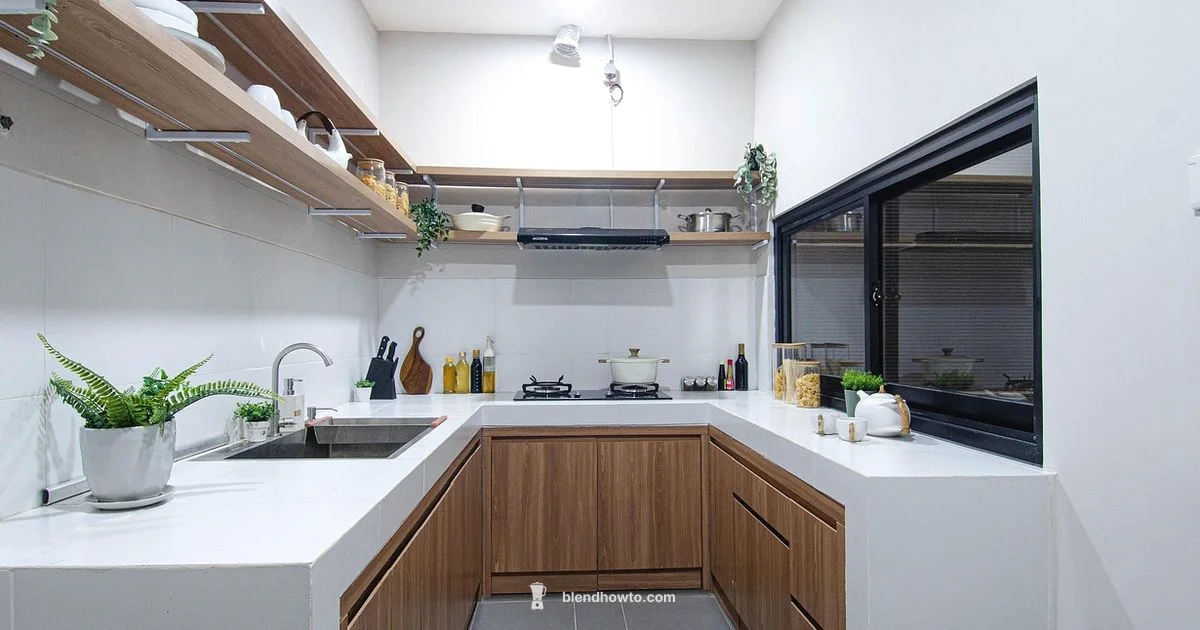 Top Budget Blenders - BlendHowTo