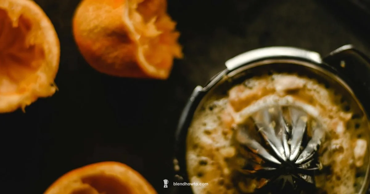 Blender vs Juicer - BlendHowTo