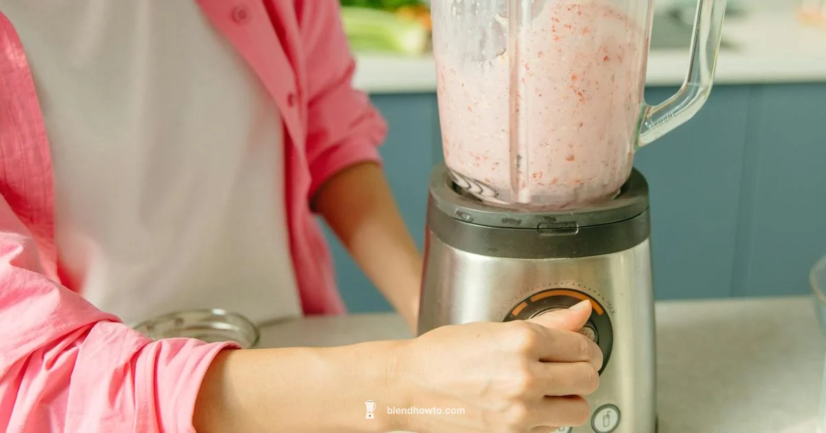 Immersion Blender Guide Immersion Blender Guide - BlendHowTo