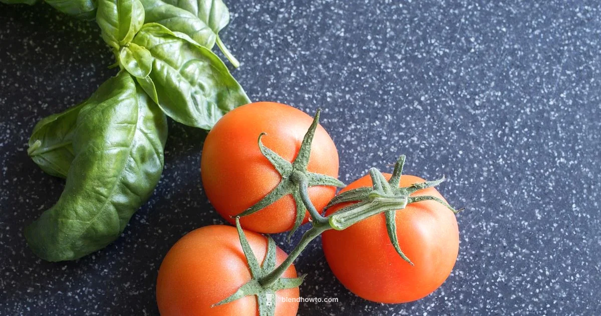 Immersion Mayo Mastery - BlendHowTo