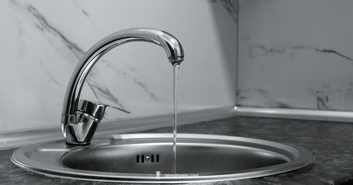 High Speed Blender Guide - BlendHowTo