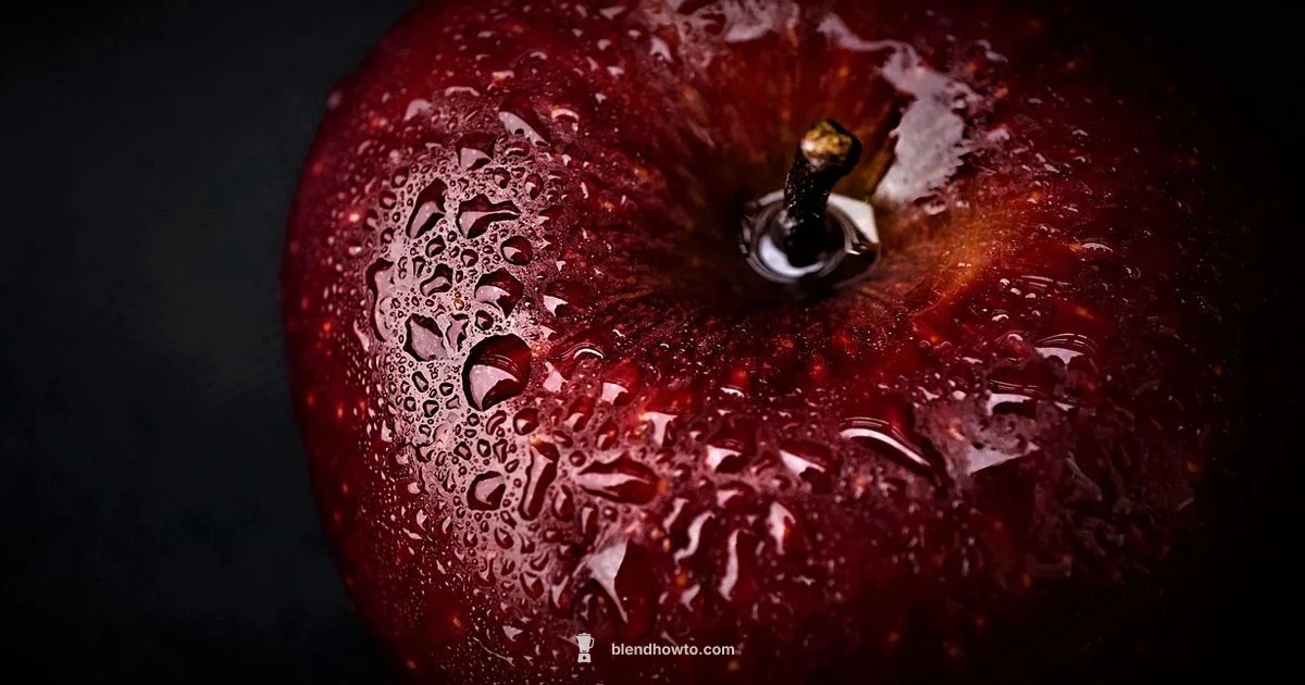 Which Blender Is Better Which Blender Is Better - BlendHowTo