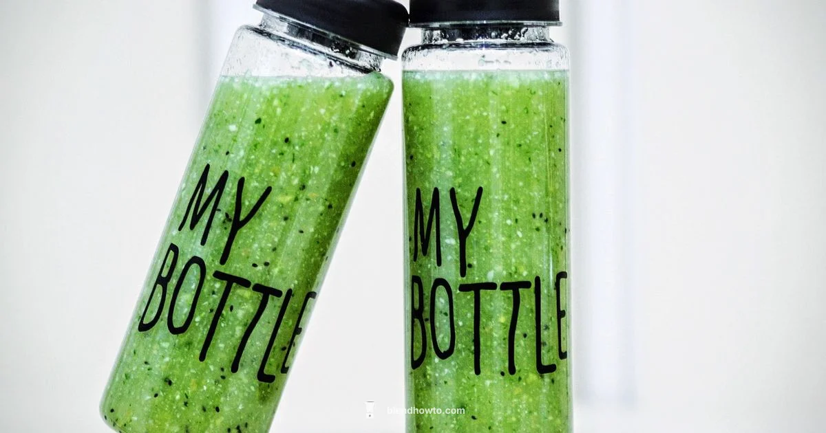 Blender Bottles & Smoothies - BlendHowTo