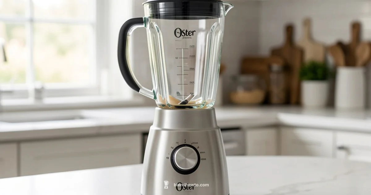 Oster Blender Essentials Oster Blender Essentials - BlendHowTo