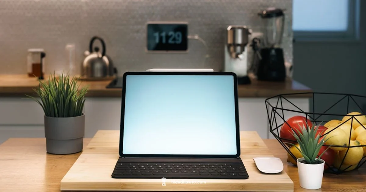 Compact Blender Guide - BlendHowTo