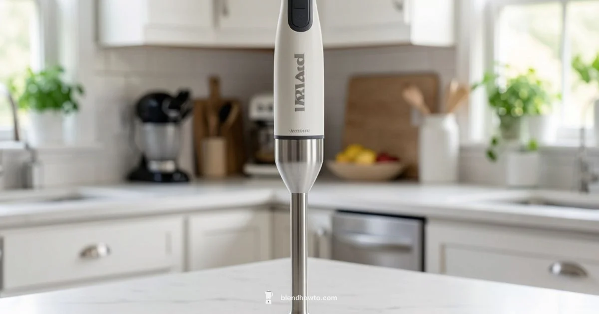Two Speed Immersion Blender - BlendHowTo