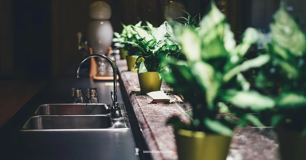 Blender Showdown Blender Showdown - BlendHowTo