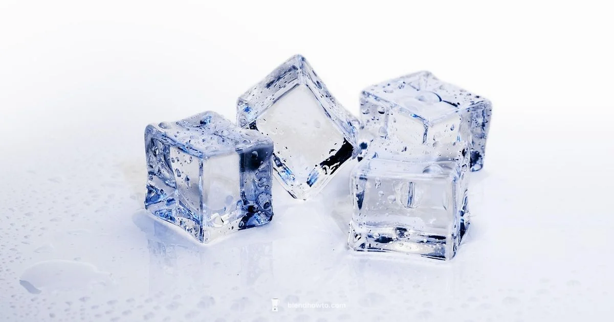 Crush Ice Properly - BlendHowTo